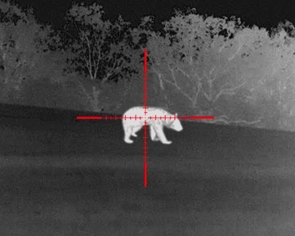 Night vision view of a thermal monocular