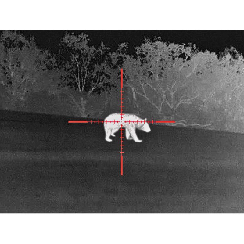 Thermal scope in action